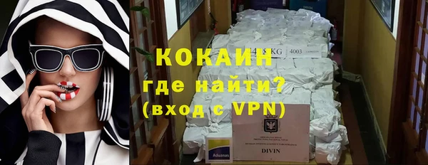 прущие грибы Каменск-Шахтинский