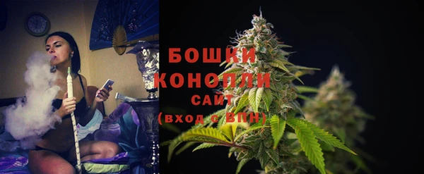 прущие грибы Каменск-Шахтинский
