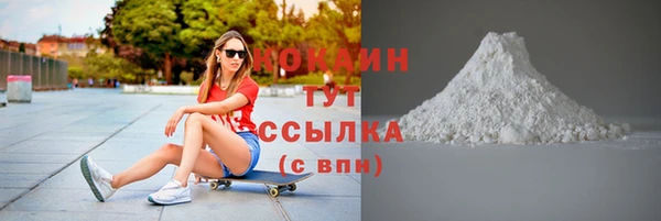 тгк Каменногорск