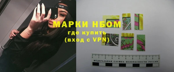 тгк Каменногорск