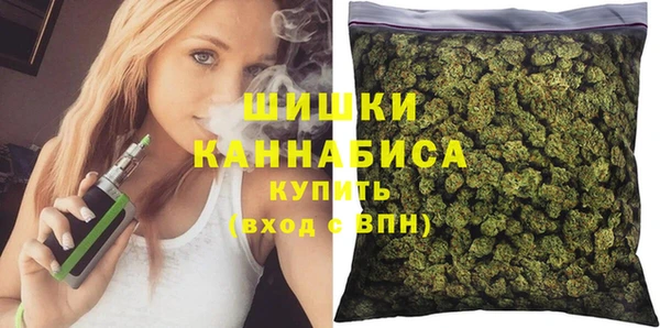 прущие грибы Каменск-Шахтинский