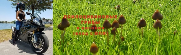 героин Каменка