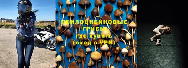 прущие грибы Каменск-Шахтинский