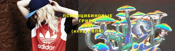 тгк Каменногорск
