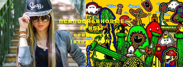прущие грибы Каменск-Шахтинский